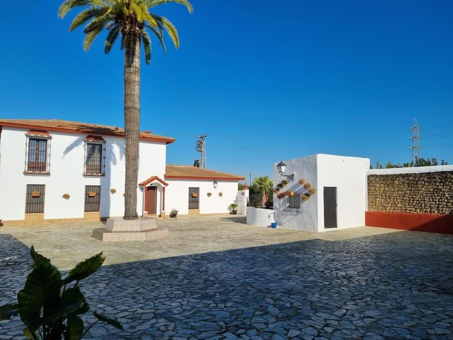 הוילה אוטררה Finca Campo Alegre מראה חיצוני תמונה